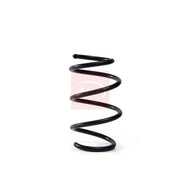 Apec Front Suspension Coil Spring ACS2009