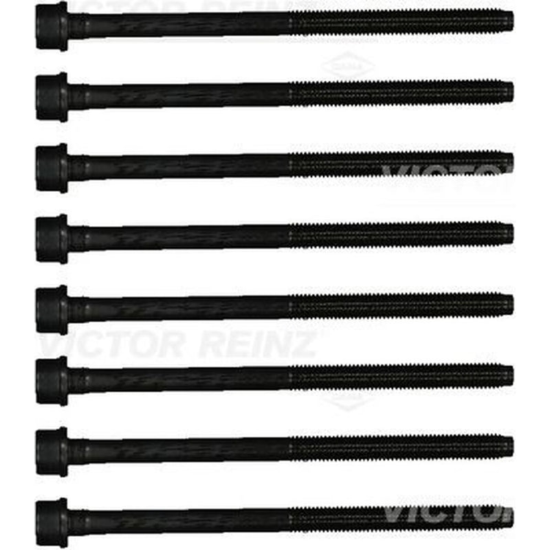 Victor Reinz Cylinder Head Bolt Set M10 14-21800-01