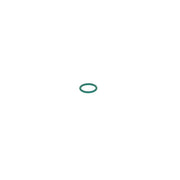 Bosch Rubber Seal Ring 2 440 210 014