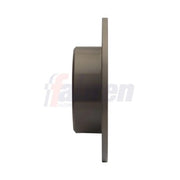Fahren 2 x Solid Rear Brake Discs FBD6663