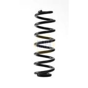 NAPA Rear Suspension Coil Spring NCS2248