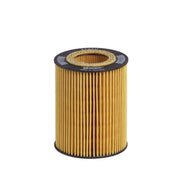 Hengst Engine Oil Filter E106H D34