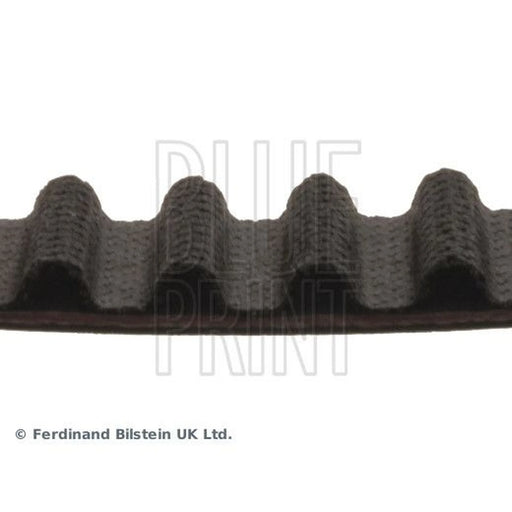 Blue Print Timing Belt Cambelt 123 Teeth ADN17534
