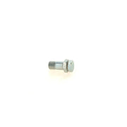 Bosch Fuel Injection Control Valve 1 417 413 000
