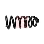 Apec Front Suspension Coil Spring ACS1767