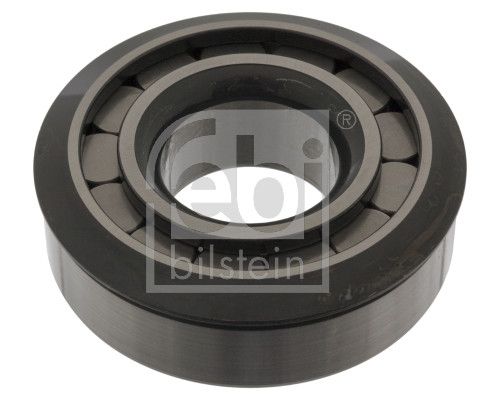 Febi Universal Bearing Rear
