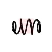 Apec Rear Suspension Coil Spring ACS1908