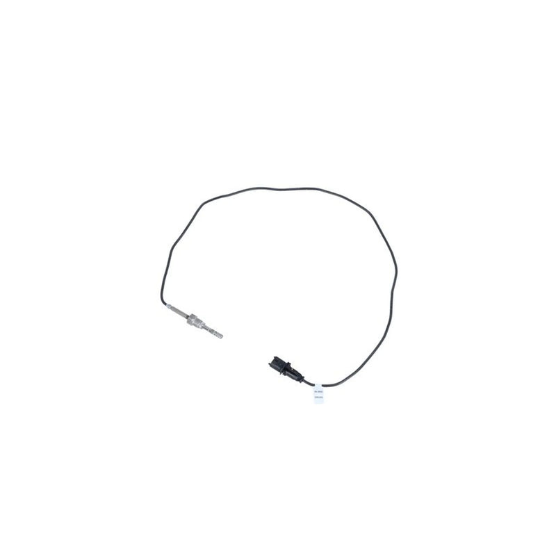 NRF Exhaust Gas Temperature Sensor before soot particulate f 707163