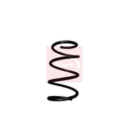 Apec Front Suspension Coil Spring ACS1965