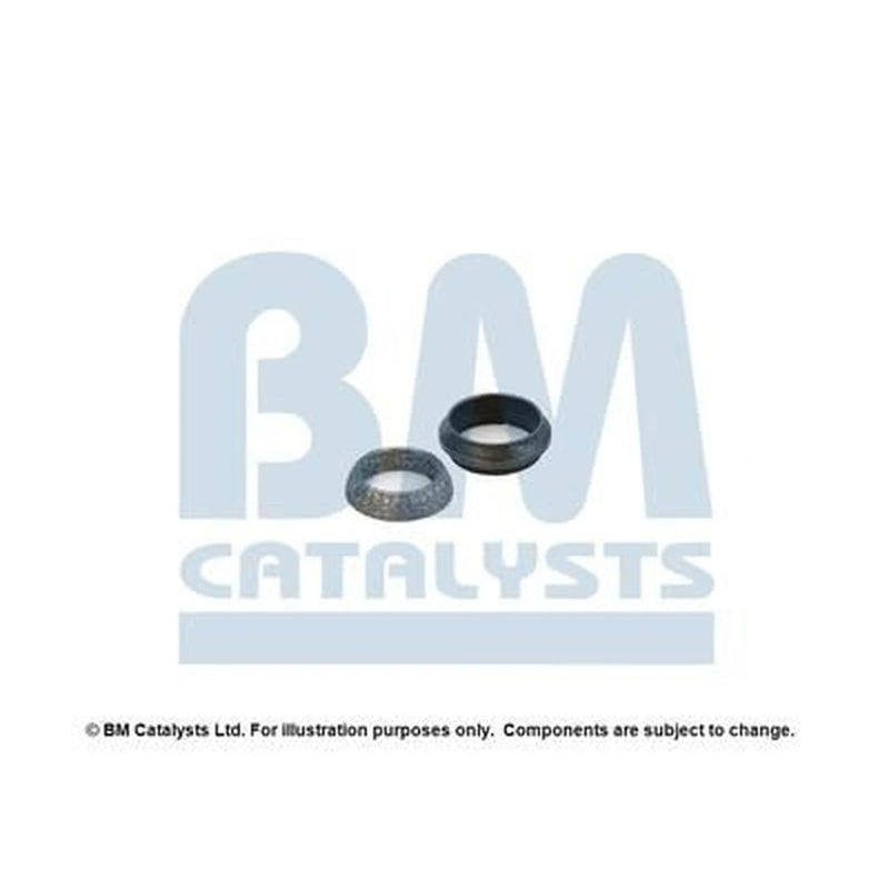 BM Catalysts Fitting Kit FK90666A FK90666A
