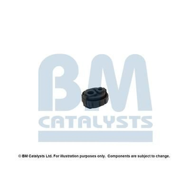 BM Catalysts Fitting Kit FK80193C FK80193C
