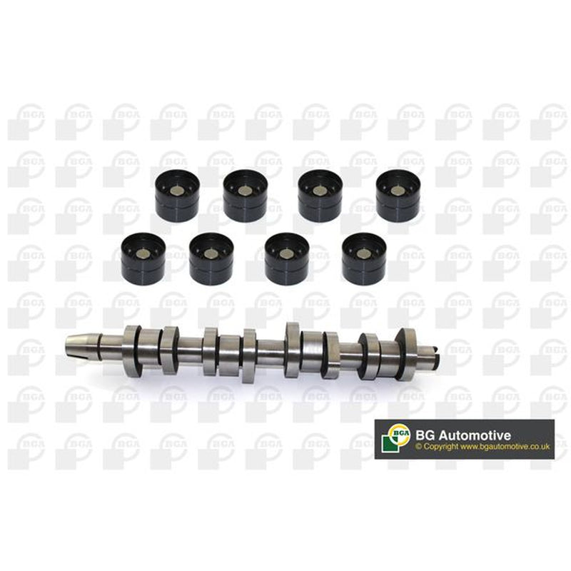 BGA Camshaft Kit Set With Bearings Intake Side CS9901K