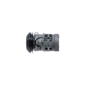 Mahle Air Conditioning Compressor ACP 1603 000S