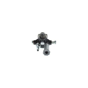 Bosch Fuel Pump Assembly H 105 210 326