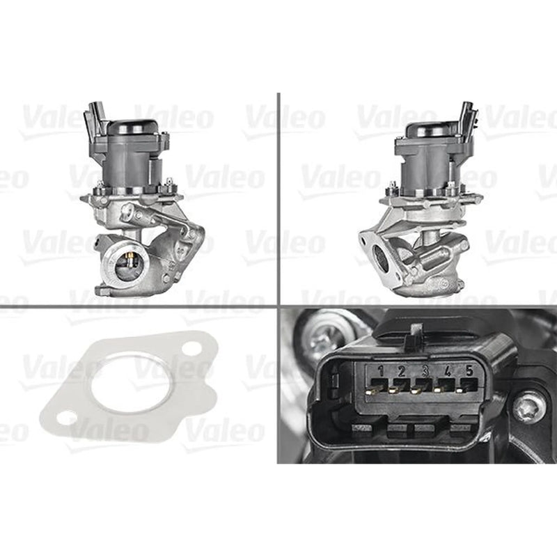 Valeo Exhaust Gas Recirculation Valve 700413
