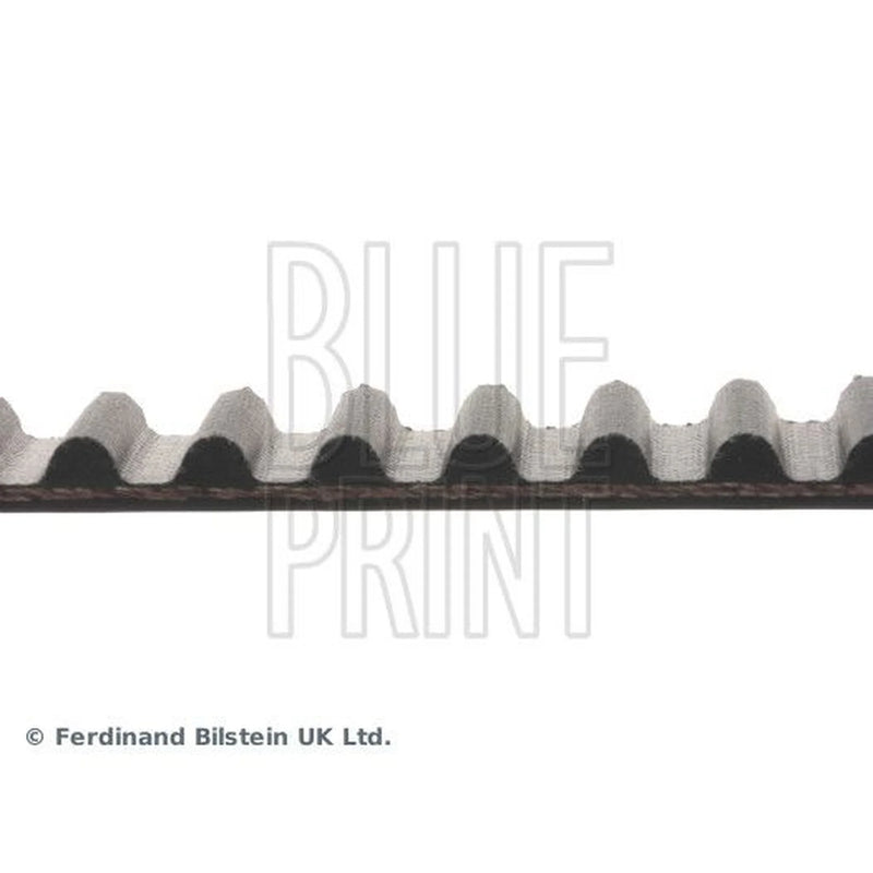 Blue Print Timing Belt Cambelt 126 Teeth ADH27531