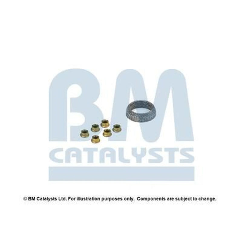 BM Catalysts Fitting Kit FK92998B FK92998B