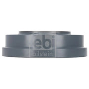 Febi Brake Drum Assembly Rear Right 198441
