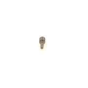Bosch Fuel Injector Nozzle 0 433 171 968