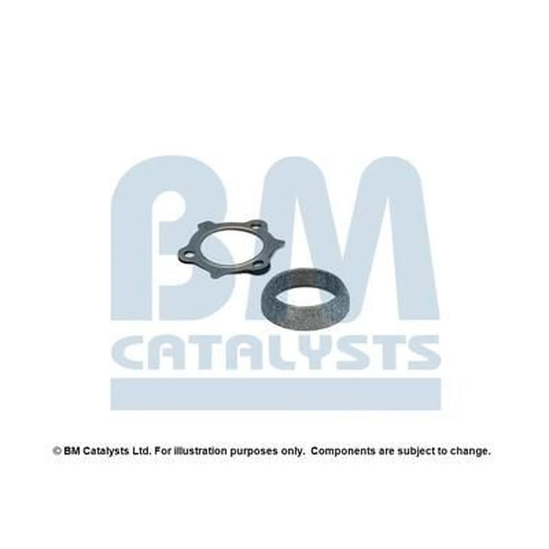 BM Catalysts Fitting Kit FK11025A FK11025A