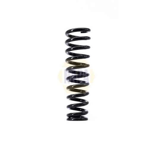 NAPA Rear Suspension Coil Spring NCS1382