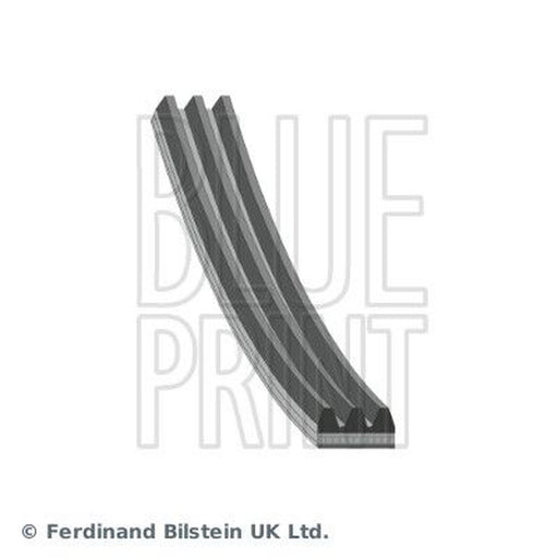 Blue Print Multi V-Ribbed Drive Belt AD03R682