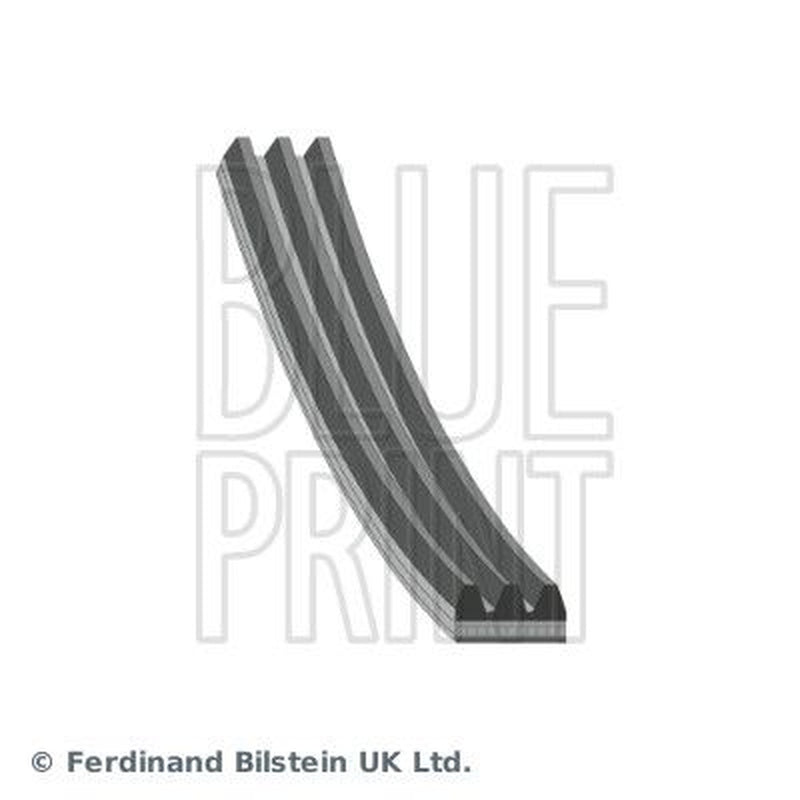 Blue Print Multi V-Ribbed Drive Belt AD03R785