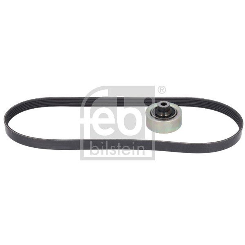 Febi V-Ribbed Belt Set 198832