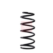 Apec Rear Suspension Coil Spring ACS2060