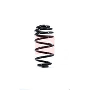Apec Rear Suspension Coil Spring ACS1662