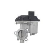 Valeo Exhaust Gas Recirculation Valve 703202