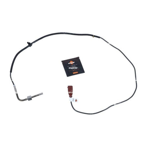 NRF Exhaust Gas Temperature Sensor before soot particulate f 707047