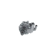 Bosch Power Steering Hydraulic Pump K S00 000 166