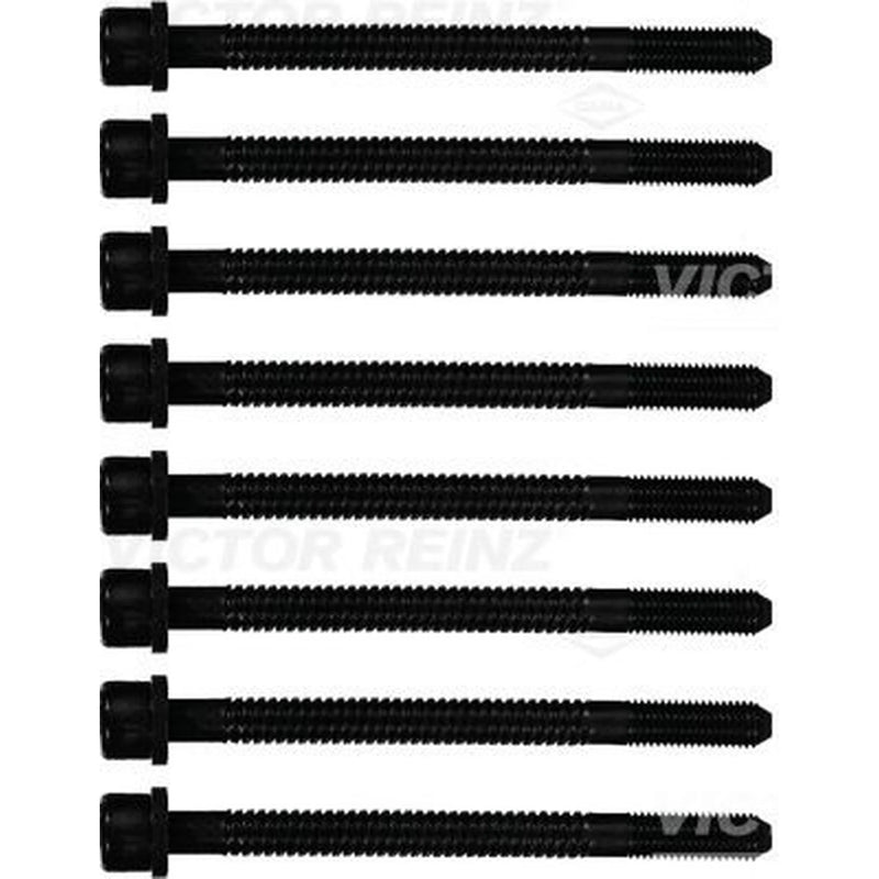 Victor Reinz Cylinder Head Bolt Set M11 14-32054-01