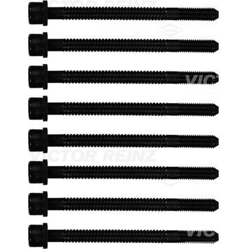 Victor Reinz Cylinder Head Bolt Set M11 14-32054-01