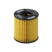 Hengst Engine Oil Filter E44H D110