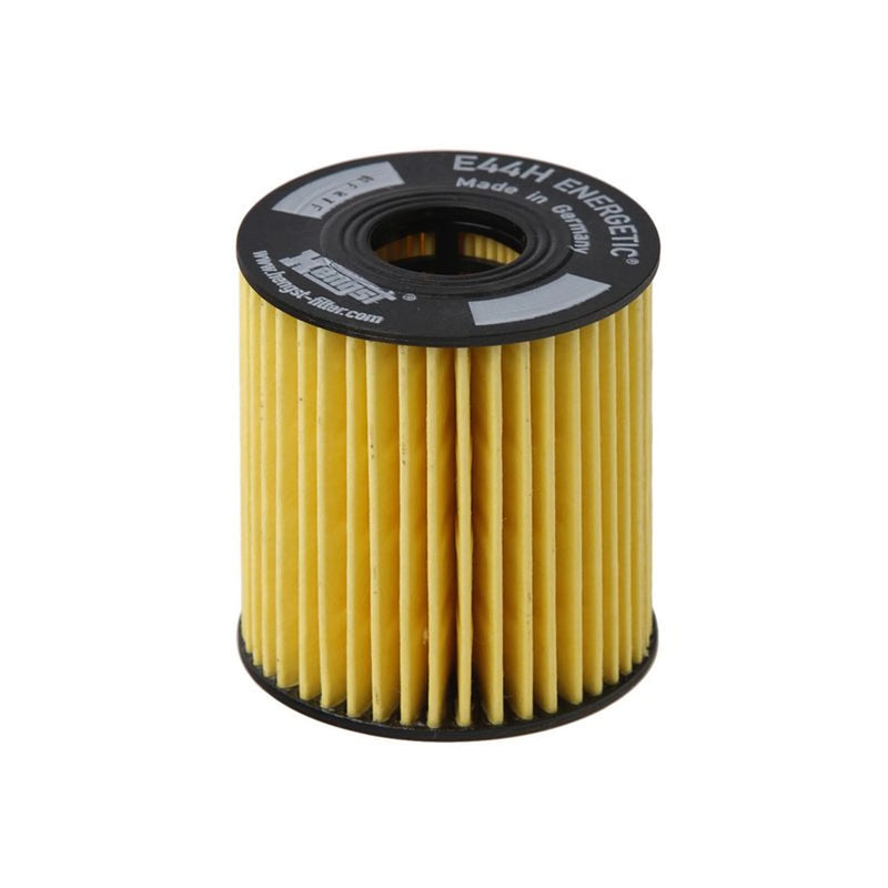 Hengst Engine Oil Filter E44H D110