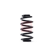 Apec Front Suspension Coil Spring ACS1744