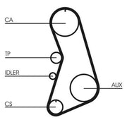 Continental CTAM Timing Belt Kit with Rollers CT919K5