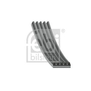 Febi Multi V-Ribbed Drive Belt 28856