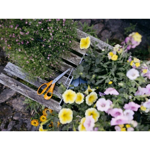 Fiskars Classic Garden Scissors, Right Handed 21cm - 1075033