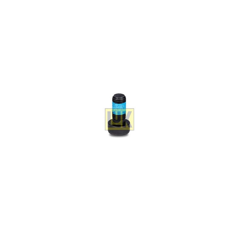 LuK Dmf Bolt Fitting Kit 411012210