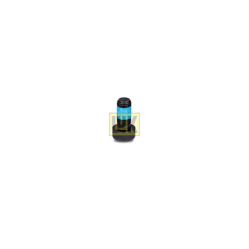 LuK Dmf Bolt Fitting Kit 411012210
