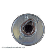 Blue Print Fuel Filter Element ADT323100