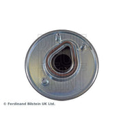 Blue Print Fuel Filter Element ADT323100