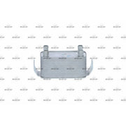 NRF Engine Oil Cooler 31798