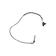 NRF Exhaust Gas Temperature Sensor before soot particu 707087