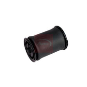 Apec Air Suspension Spring Top yoke Rear Left AAS1001
