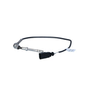 NRF Exhaust Gas Temperature Sensor before soot particulate filte 707067