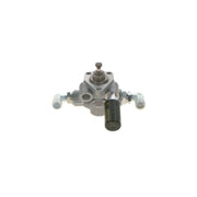 Bosch Fuel Pump Assembly 0 440 008 165